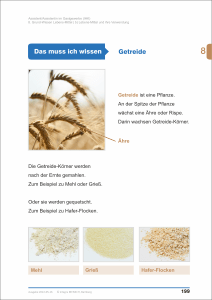 leseprobe-gastgewerbe-1-300